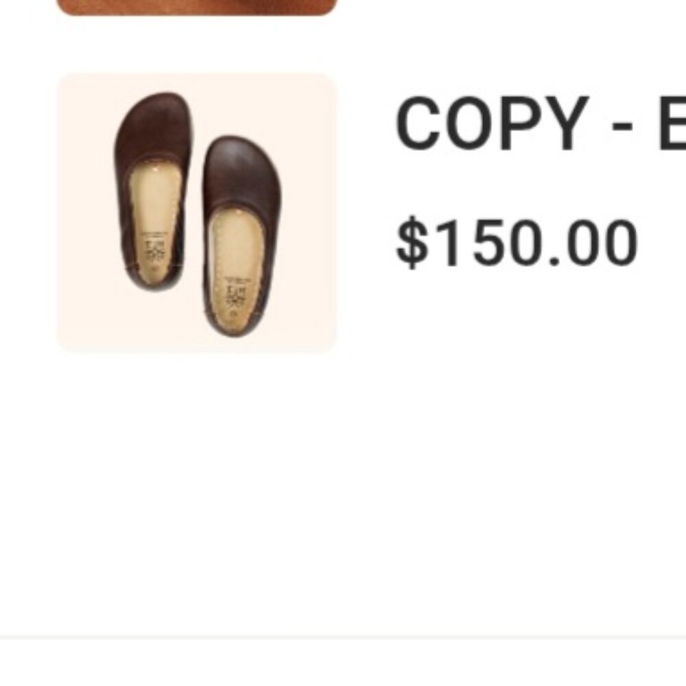 Earthing Harmony Brown shoes